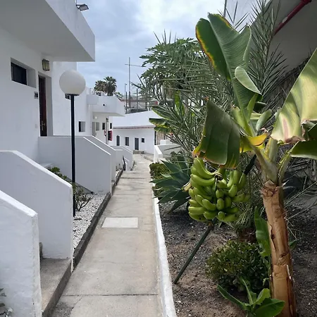 Puerto Rico,atraktiv In Cumana 2,solsiden Apartment *