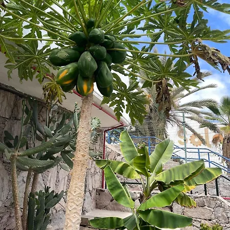 Apartment Puerto Rico,atraktiv In Cumana 2,solsiden Puerto Rico (Gran Canaria)